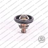 TERMOSTATO REFRIGERANTE NUOVO FORD 1.8