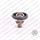 TERMOSTATO REFRIGERANTE NUOVO FORD 1.8