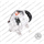 COMPRESSORE CLIMA DENSO BMW SERIE 3 X3