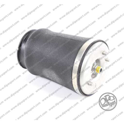 MOLLA PNEUMATICA NUOVA POSTERIORE DX ARNOTT BMW 520