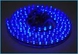 BOBINA 24V 5 MT 300 LED SMD 3528 COLORE BLU