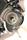 PIANTONE ELETTRICO FIAT 500 L