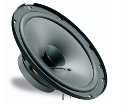 ALTOPARLANTI BASIC BICONO 60 WATT Ø 165
