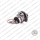 COREASSY IVECO DAILY MASSIF 3.0 Td NUOVO COMPATIBILE