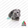 COREASSY NEW ALFA FIAT LANCIA ABARTH 1.4 NUOVO COMPATIBILE