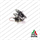 COREASSY GRUPPO VAG 2.0 d TDI NUOVO COMPATIBILE