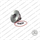 COREASSY HYUNDAI KIA 1.6 T-GDI NUOVO COMPATIBILE