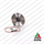 COREASSY RENAULT NISSAN DACIA 1.5 d NUOVO COMPATIBILE