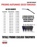 PROMO AUTUNNO 2025 TERGIGO (46 SPAZZOLE ASSORTITE)