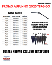 PROMO AUTUNNO 2025 TERGIGO (46 SPAZZOLE ASSORTITE)