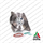 COREASSY TURBO VW MULTIVAN VI 2.0 TDI NUOVO COMPATIBILE