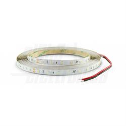 STRISCIA LED 5m 64L/m 2835 0,2W/L 24V 4,8 W/m BC