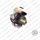 ABS ADVICS TOYOTA LAND CRUISER PRADO (J12) REVISIONATO