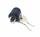 INTERRUTTORE ACCENSIONE FIAT 500/126 CON GHIERA NERA