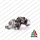 TURBINA MOTORI DIESEL 3.0 RANGE ROVER VELAR REVISIONATA