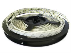 Bobina LEd 24V 5mt 300 LEd smd 3528 Bianco Freddo