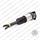 SOSPENSIONE ARNOTT COMPLETA AUDI A8 DX POSTERIORE