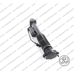 SOSPENSIONE POSTERIORE BILSTEIN GL GLE ML MB