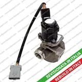 VALVOLA EGR REVISIONATA CITROEN 1.6