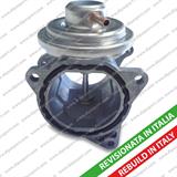 EGR REVISIONATA VAG/MITSUBISHI 1.2-1.9-2.0 TDI-DID